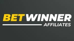 Everything You Need to Know About Betwinner 1